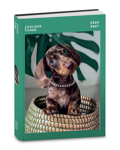 Colour Code Diario Ag.10m Datato # Colour Code Animal Snapshot