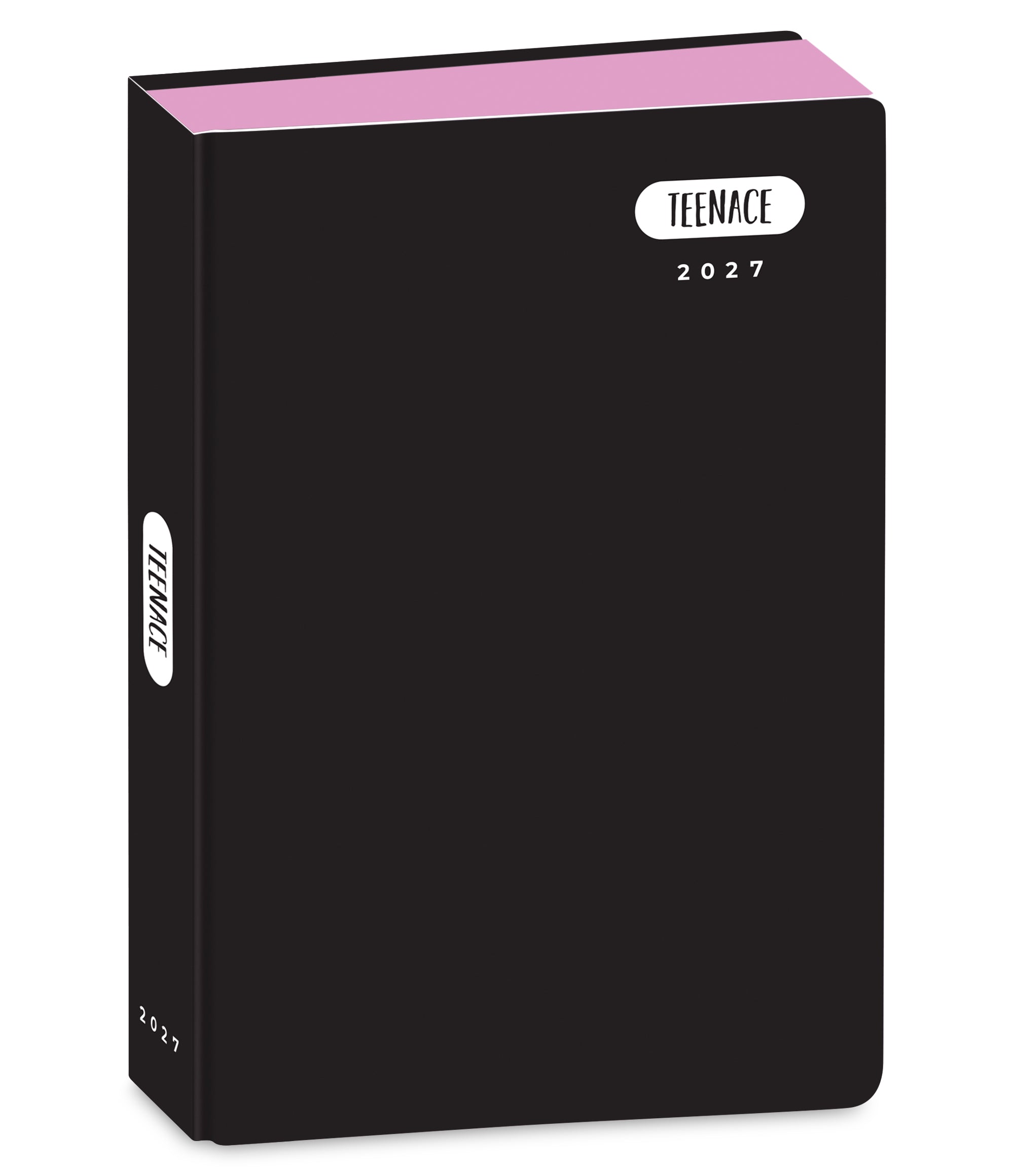 Teenace Diario Standard 12M Pastello - Immagine 2