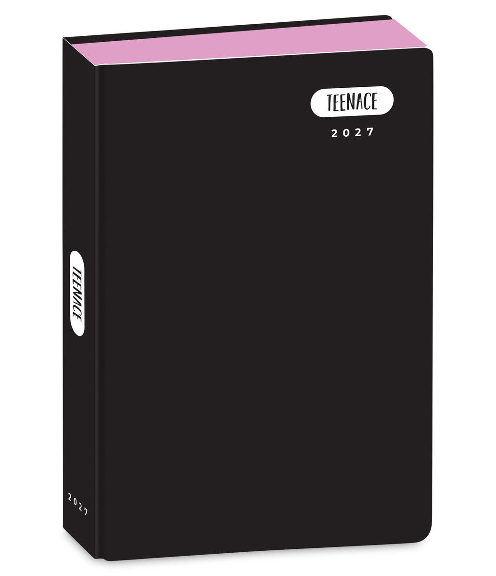 Teenace Diario Pocket 12M Pastello - Immagine 2