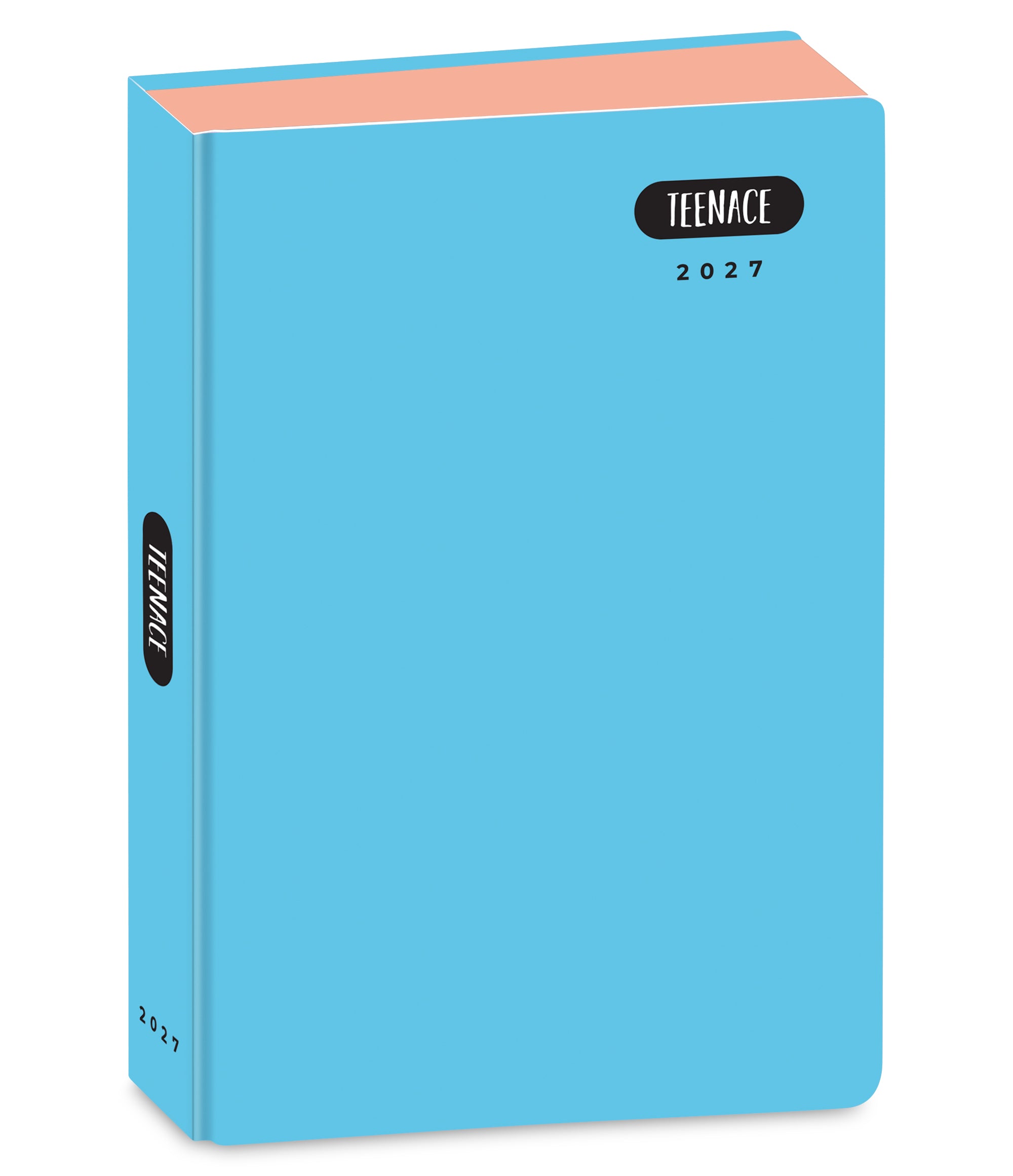Teenace Diario Pocket 12M Pastello - Immagine 4