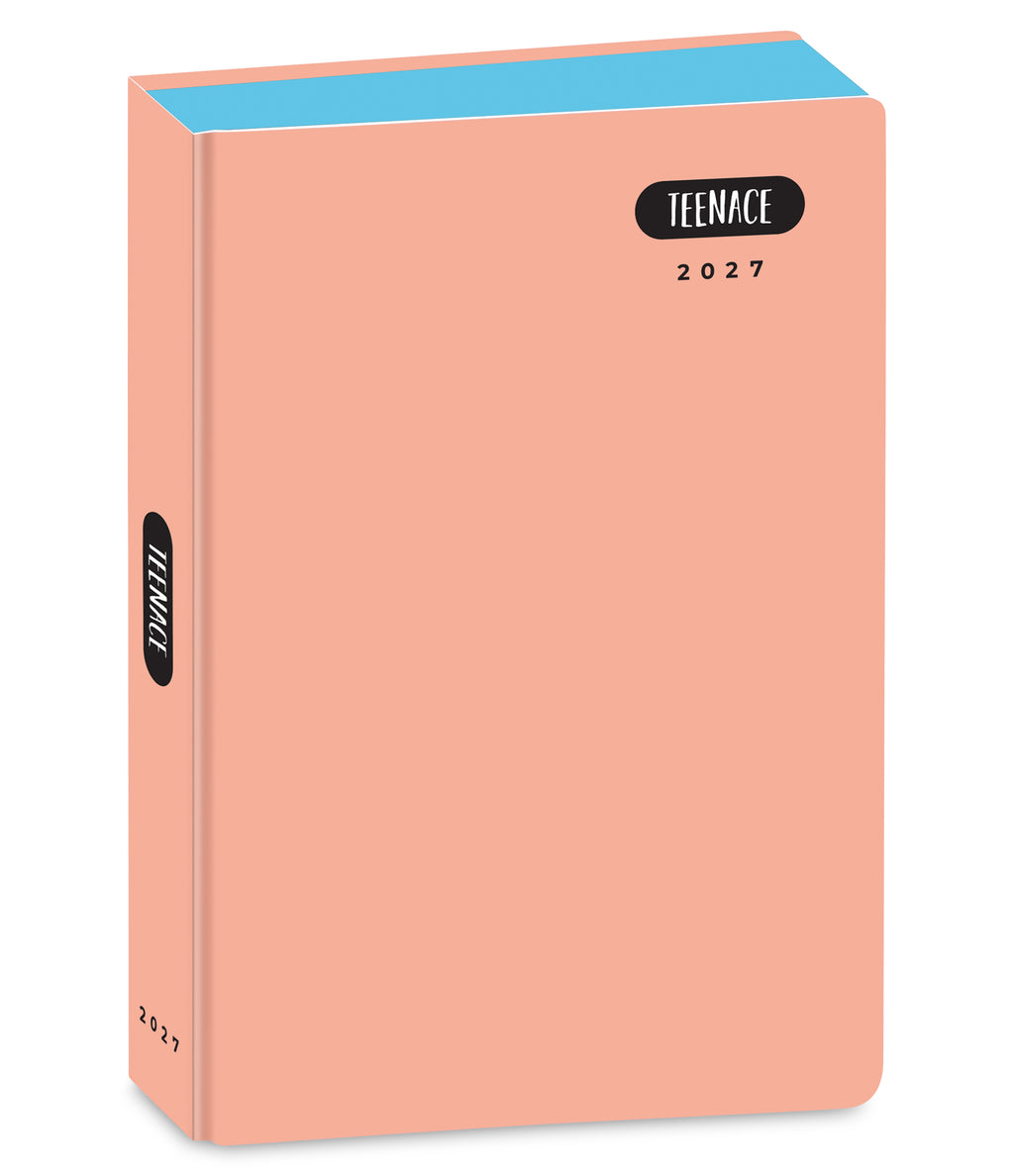 Teenace Diario Pocket 12M Pastello - Immagine 5